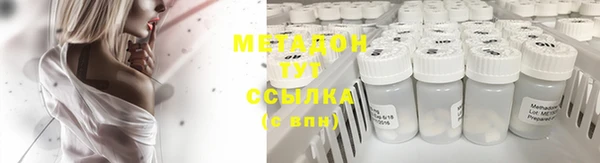 индика Абаза