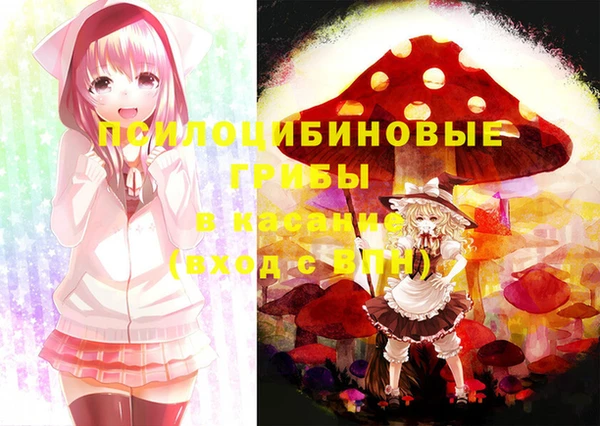 мдпв Алексеевка